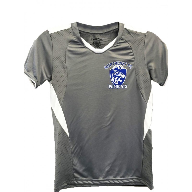 Wildcat Soccer Jersey Adult and Youth Sizes Youth Smalll